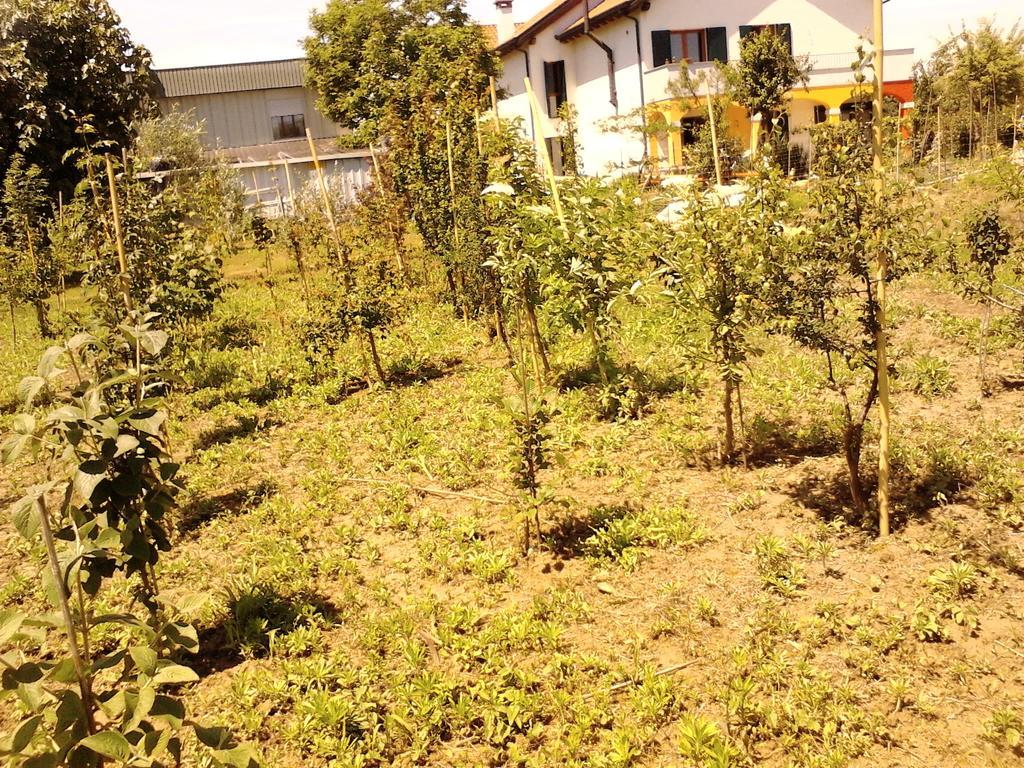 Green Fields Πάδοβα Εξωτερικό φωτογραφία