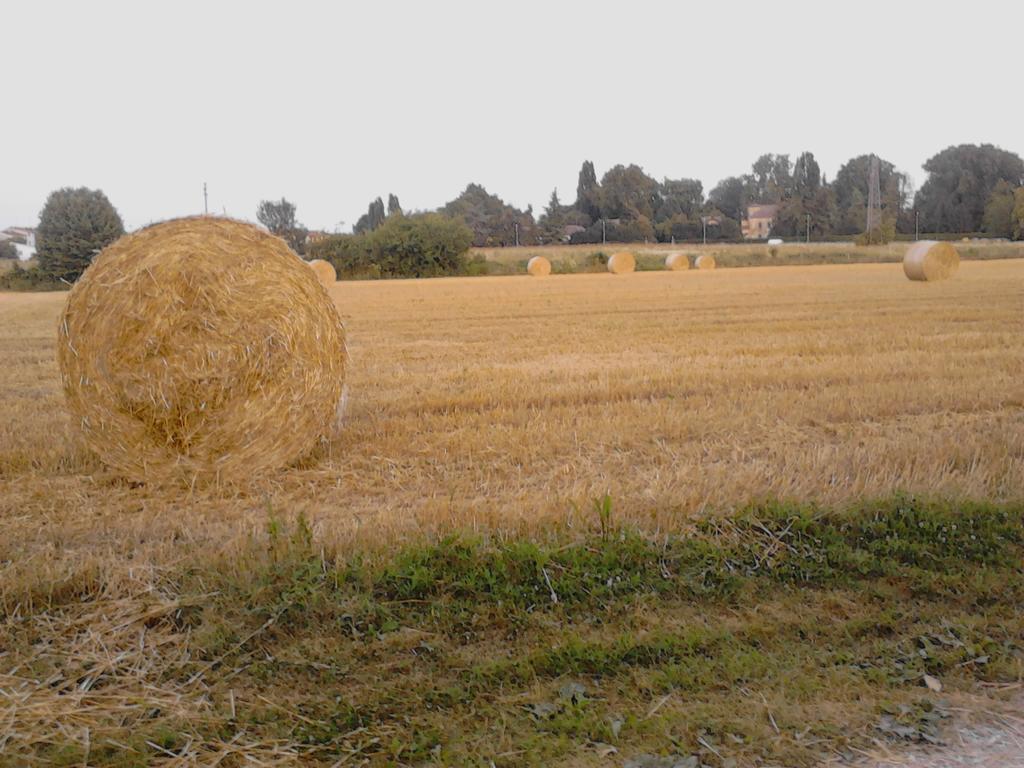 Green Fields Πάδοβα Εξωτερικό φωτογραφία